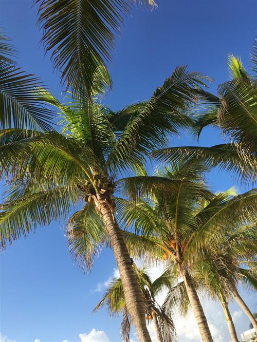 Mexico 